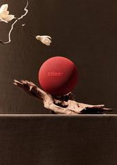 Zdeer Electronic Moxibustion Device 4 - Zdeer - Zdeer